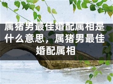属猪男最佳婚配属相是什么意思，属猪男最佳婚配属相