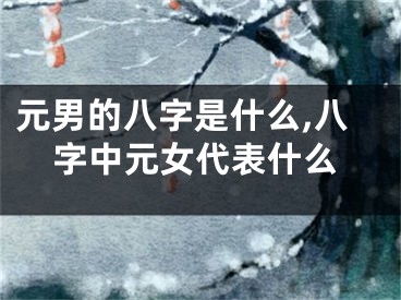 元男的八字是什么,八字中元女代表什么