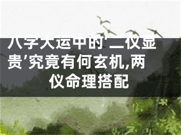 八字大运中的‘二仪显贵’究竟有何玄机,两仪命理搭配