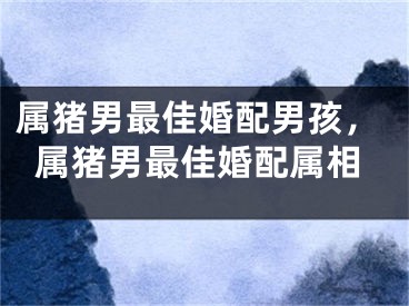 属猪男最佳婚配男孩，属猪男最佳婚配属相
