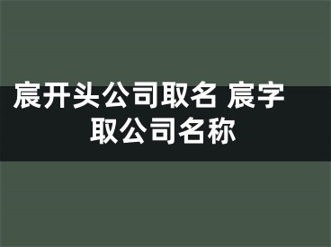 宸开头公司取名 宸字取公司名称