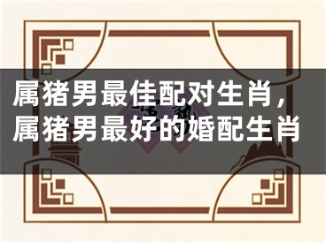 属猪男最佳配对生肖,属猪男最好的婚配生肖