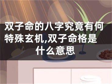 双子命的八字究竟有何特殊玄机,双子命格是什么意思