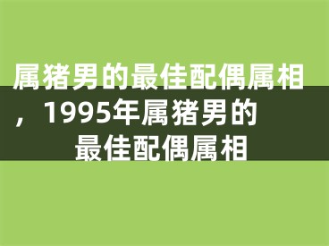 属猪男的最佳配偶属相，1995年属猪男的最佳配偶属相