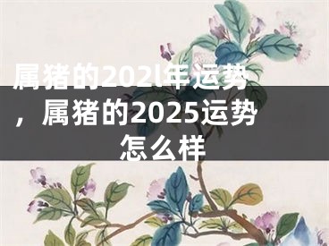 属猪的202l年运势，属猪的2025运势怎么样