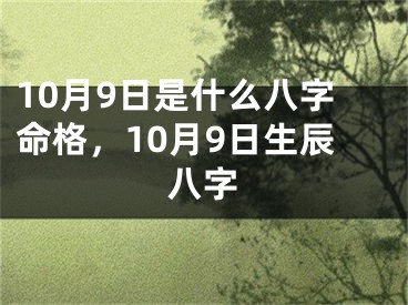 10月9日是什么八字命格,10月9日生辰八字