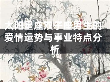 太阳星座双子座男生的爱情运势与事业特点分析