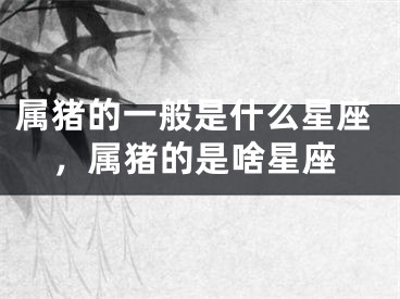 属猪的一般是什么星座，属猪的是啥星座
