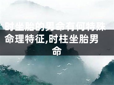时坐胎的男命有何特殊命理特征,时柱坐胎男命