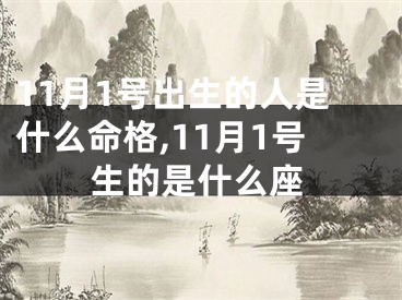 11月1号出生的人是什么命格,11月1号生的是什么座