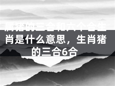 属猪的三合和六个合生肖是什么意思,生肖猪的三合6合
