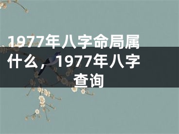 1977年八字命局属什么,1977年八字查询