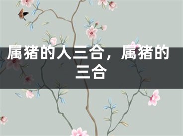 属猪的人三合，属猪的三合