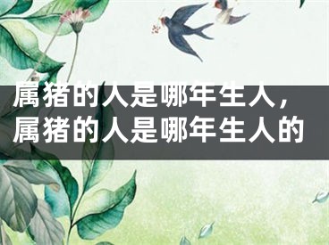 属猪的人是哪年生人，属猪的人是哪年生人的