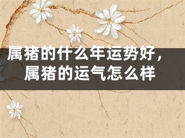 属猪的什么年运势好，属猪的运气怎么样