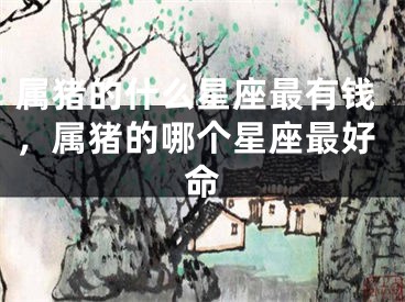 属猪的什么星座最有钱，属猪的哪个星座最好命