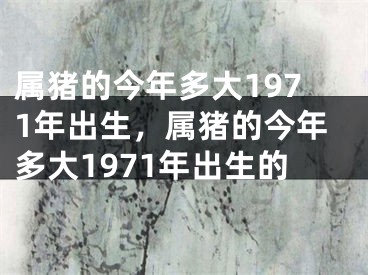 属猪的今年多大1971年出生，属猪的今年多大1971年出生的