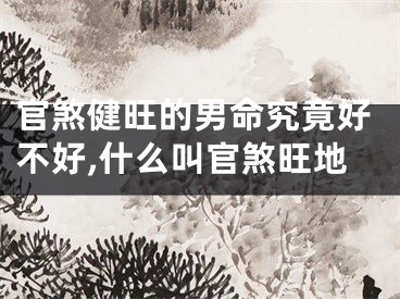 官煞健旺的男命究竟好不好,什么叫官煞旺地