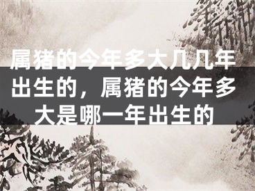 属猪的今年多大几几年出生的，属猪的今年多大是哪一年出生的