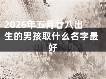 2026年五月廿八出生的男孩取什么名字最好