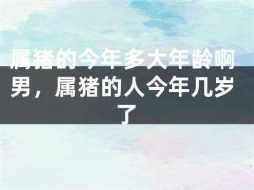 属猪的今年多大年龄啊男,属猪的人今年几岁了