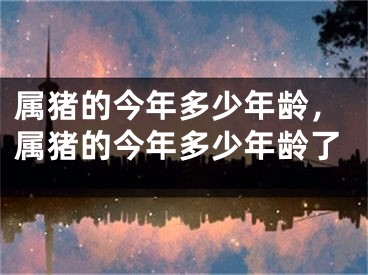 属猪的今年多少年龄，属猪的今年多少年龄了