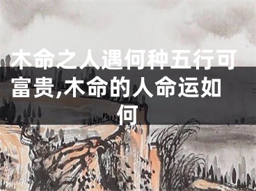 木命之人遇何种五行可富贵,木命的人命运如何