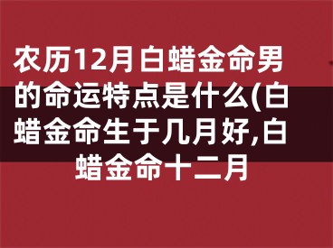 农历12月白蜡金命男的命运特点是什么(白蜡金命生于几月好,白蜡金命十二月
