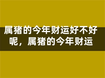 属猪的今年财运好不好呢，属猪的今年财运