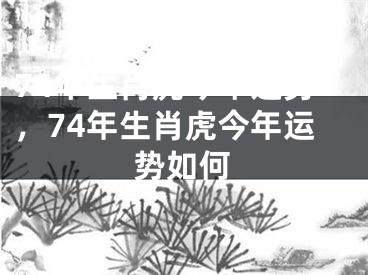 74年生肖虎今年运势，74年生肖虎今年运势如何