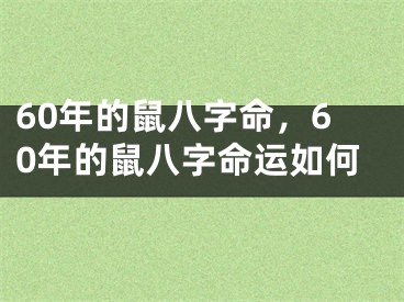 60年的鼠八字命,60年的鼠八字命运如何