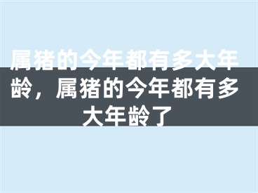 属猪的今年都有多大年龄，属猪的今年都有多大年龄了