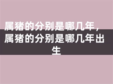 属猪的分别是哪几年，属猪的分别是哪几年出生