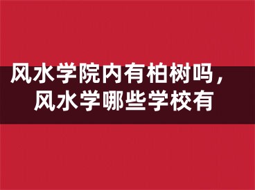 风水学院内有柏树吗，风水学哪些学校有