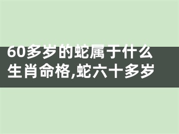 60多岁的蛇属于什么生肖命格,蛇六十多岁