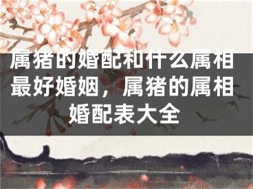属猪的婚配和什么属相最好婚姻，属猪的属相婚配表大全