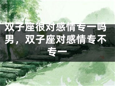 双子座很对感情专一吗男,双子座对感情专不专一