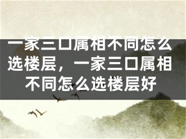 一家三口属相不同怎么选楼层，一家三口属相不同怎么选楼层好
