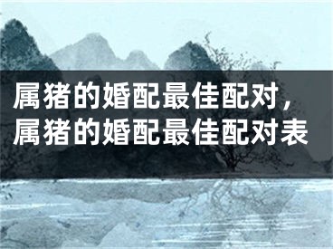 属猪的婚配最佳配对，属猪的婚配最佳配对表