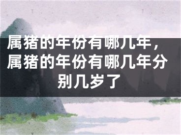 属猪的年份有哪几年,属猪的年份有哪几年分别几岁了