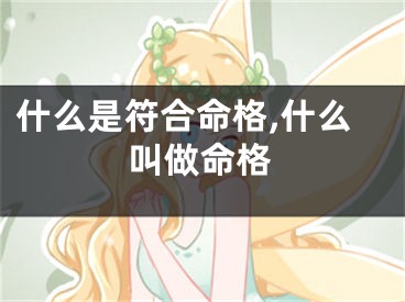 什么是符合命格,什么叫做命格