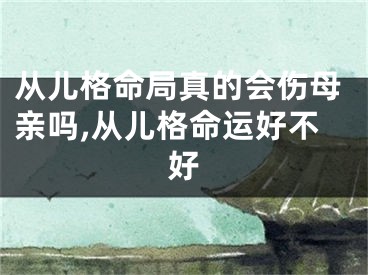 从儿格命局真的会伤母亲吗,从儿格命运好不好
