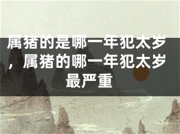 属猪的是哪一年犯太岁，属猪的哪一年犯太岁最严重