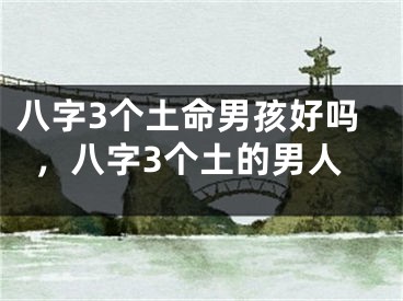 八字3个土命男孩好吗,八字3个土的男人