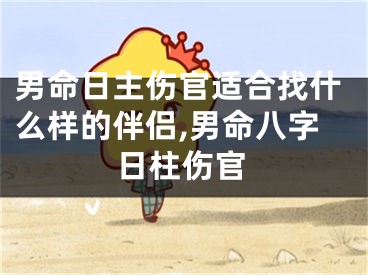 男命日主伤官适合找什么样的伴侣,男命八字日柱伤官