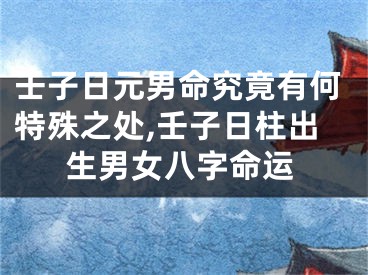 壬子日元男命究竟有何特殊之处,壬子日柱出生男女八字命运