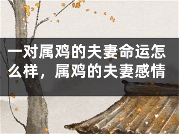 一对属鸡的夫妻命运怎么样，属鸡的夫妻感情