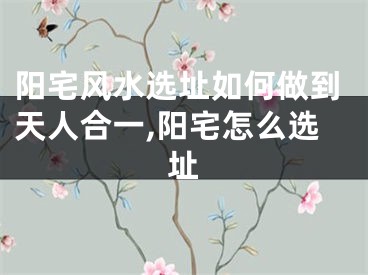 阳宅风水选址如何做到天人合一,阳宅怎么选址