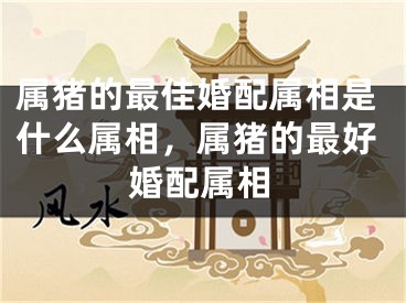 属猪的最佳婚配属相是什么属相，属猪的最好婚配属相