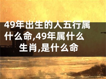 49年出生的人五行属什么命,49年属什么生肖,是什么命